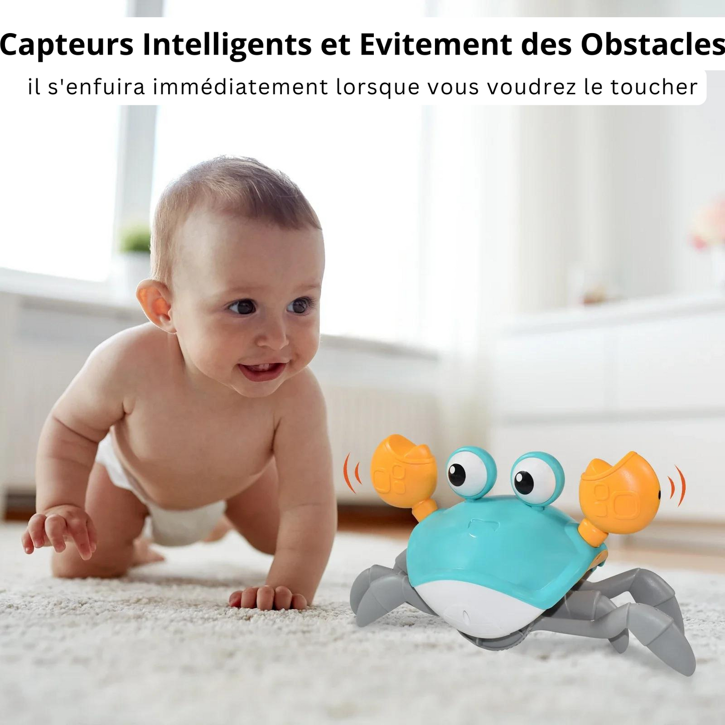 Willy Le Crabe - Jouet d'Eveil pour Bébé